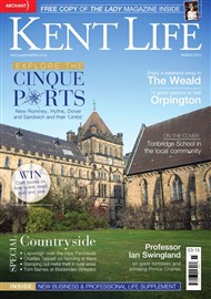 PageSuite