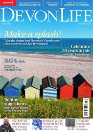 PageSuite