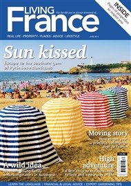PageSuite