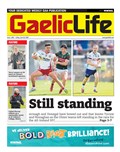 Click here to access the online edition