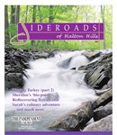 SummerSideroads2011