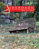 Fall 2010