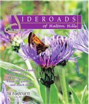 SpringSideroads2011