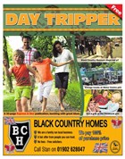 Day Tripper