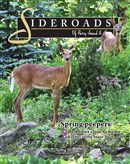 PS sideroads-spring