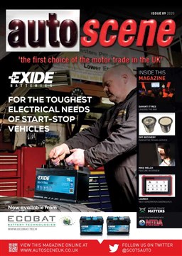 Auto Scene