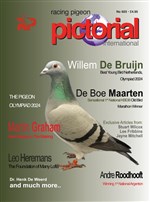 Racing Pigeon