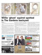eGazette
