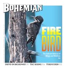 North Bay Bohemian November 25 2020