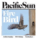 Pacific Sun Weekly November 25 2020