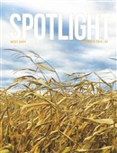 Spotlight Nov 2018