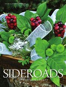 Sideroads Dufferin Winter2017