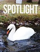 Spotlight Jan 2019