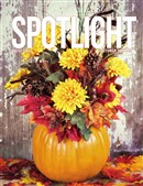 Spotlight Oct 2018
