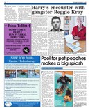 Splash for Dogs Business Profile