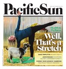 Pacific Sun January 23 2019
