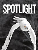 Spotlight Feb2018