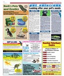 Pet Solutions