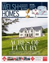 Welsh Homes 24/06/2017