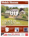 Welsh Homes 05/07/2014