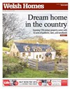 Welsh Homes 31/01/2015