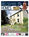 Welsh Homes 03/06/2017