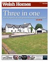 Welsh Homes 29/11/2014