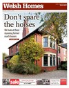 Welsh Homes 03/10/2015
