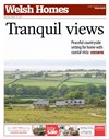 Welsh Homes 28/03/2015