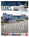 Welsh Homes 14/04/2017
