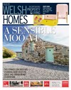 Welsh Homes 15/02/2020