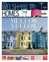 Welsh Homes 20/07/2019