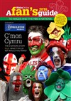 Fans Guide to the Six Nations 2016