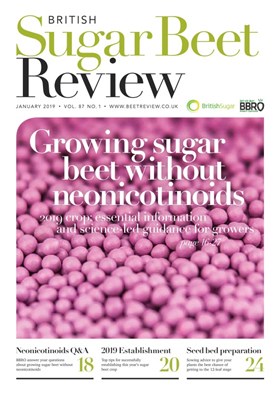Beet Review January 2019